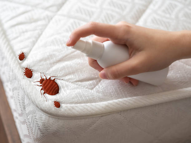 Best Residential Pest Control  in Terville, WA